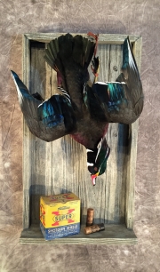Woodduck 1