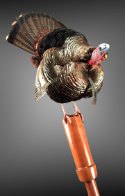 75