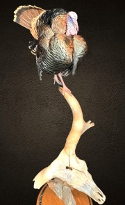 87